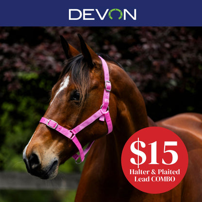 Devon Essential Halter