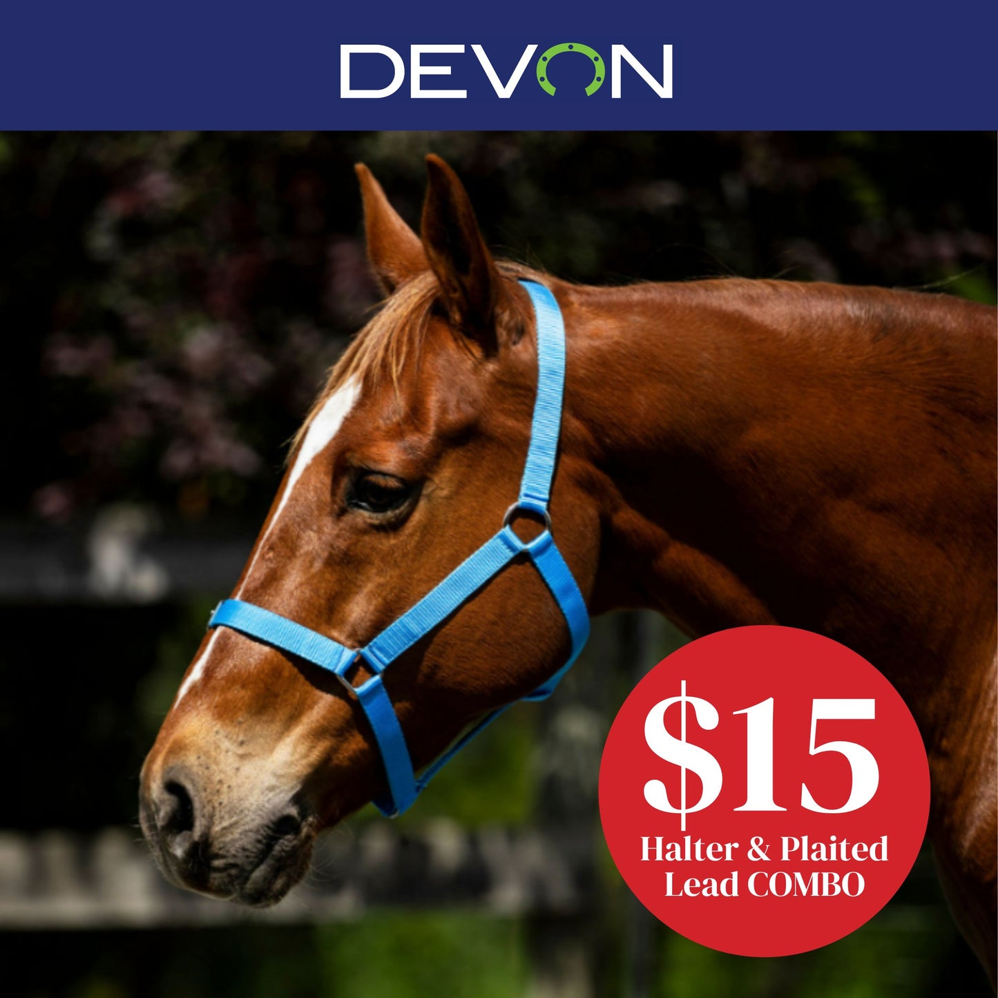 Devon Essential Halter