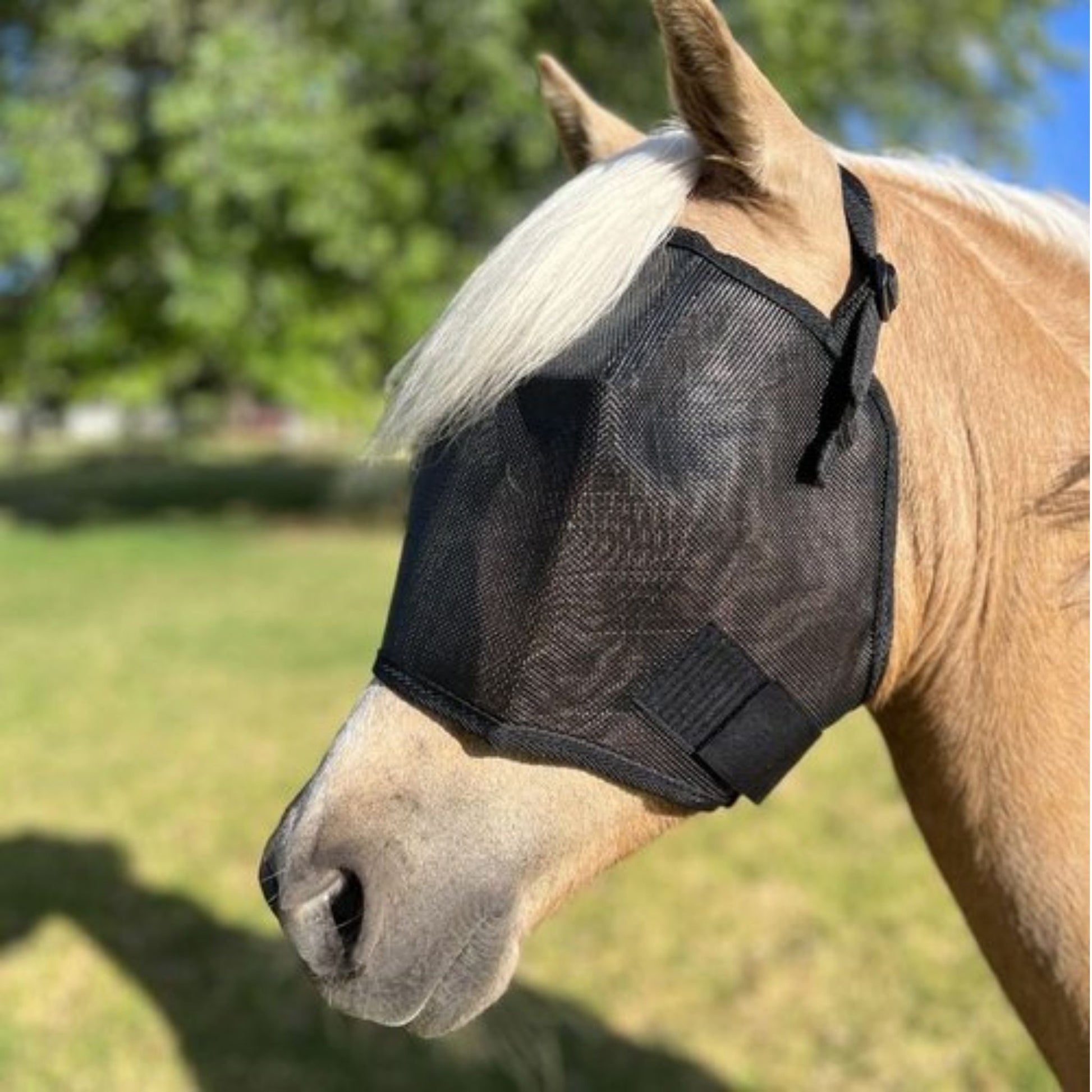 FBD Fly Veil Mesh Budget - EQ Saddlery
