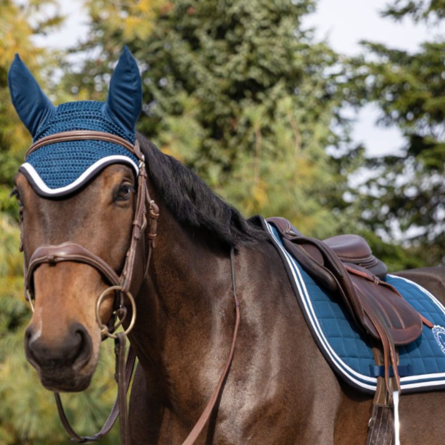 Harcour Feeby Fly Veil