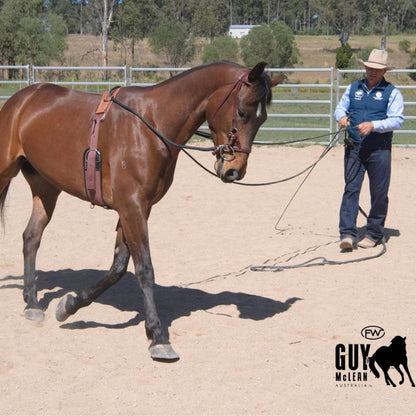 Fort Worth Guy McLean Training Surcingle