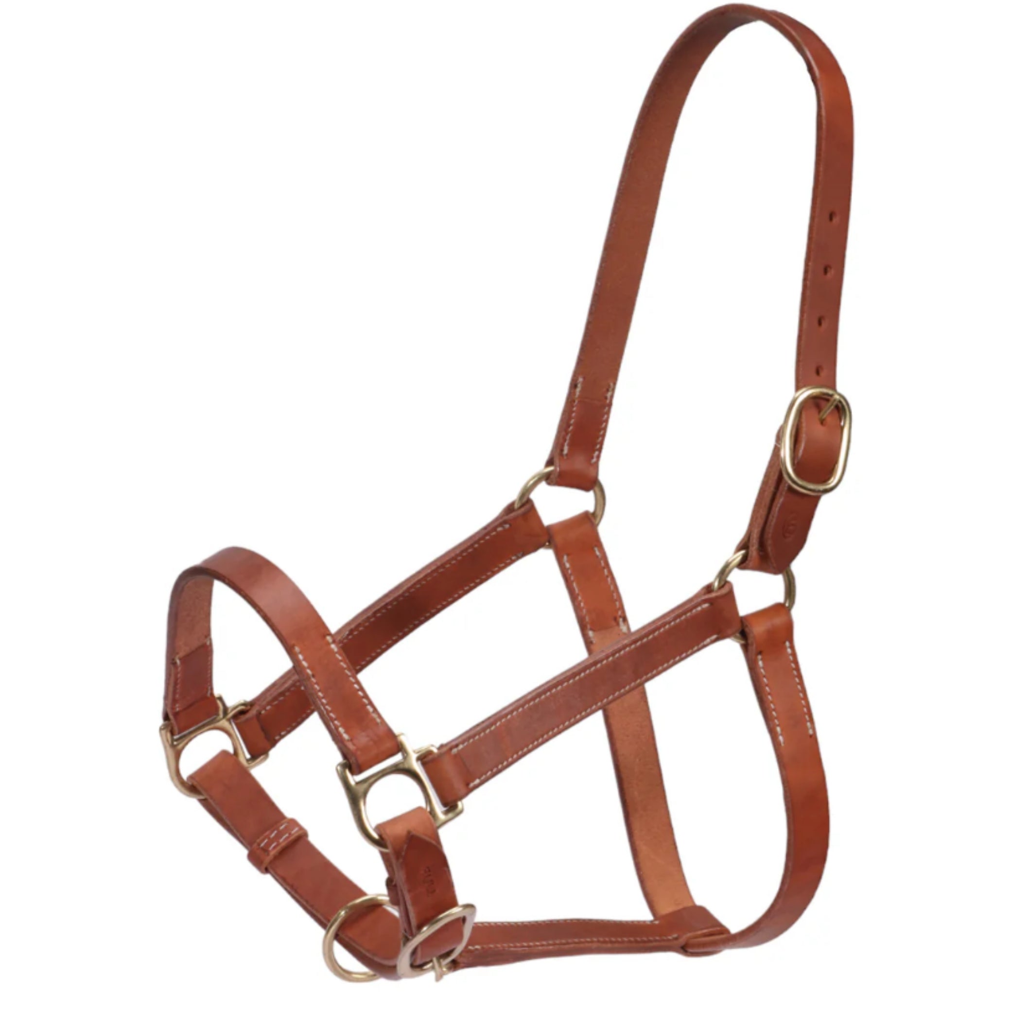 Fort Worth Leather Halter w Curb Adjustment – EQ Saddlery