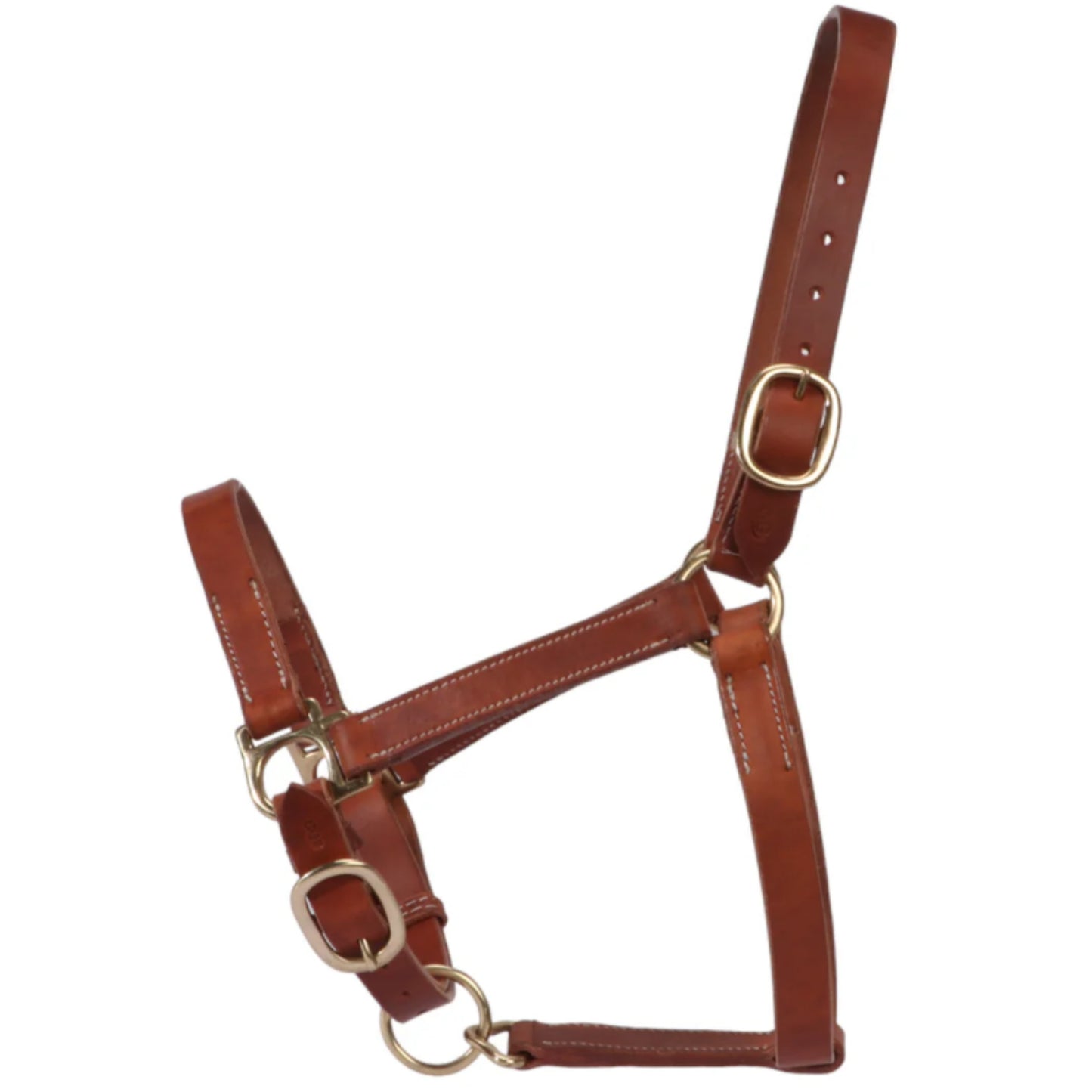Fort Worth Leather Halter w Curb Adjustment