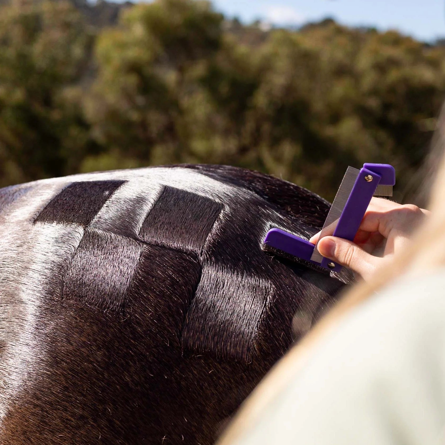 Hairy Pony Quarter Marking Comb - EQ Saddlery