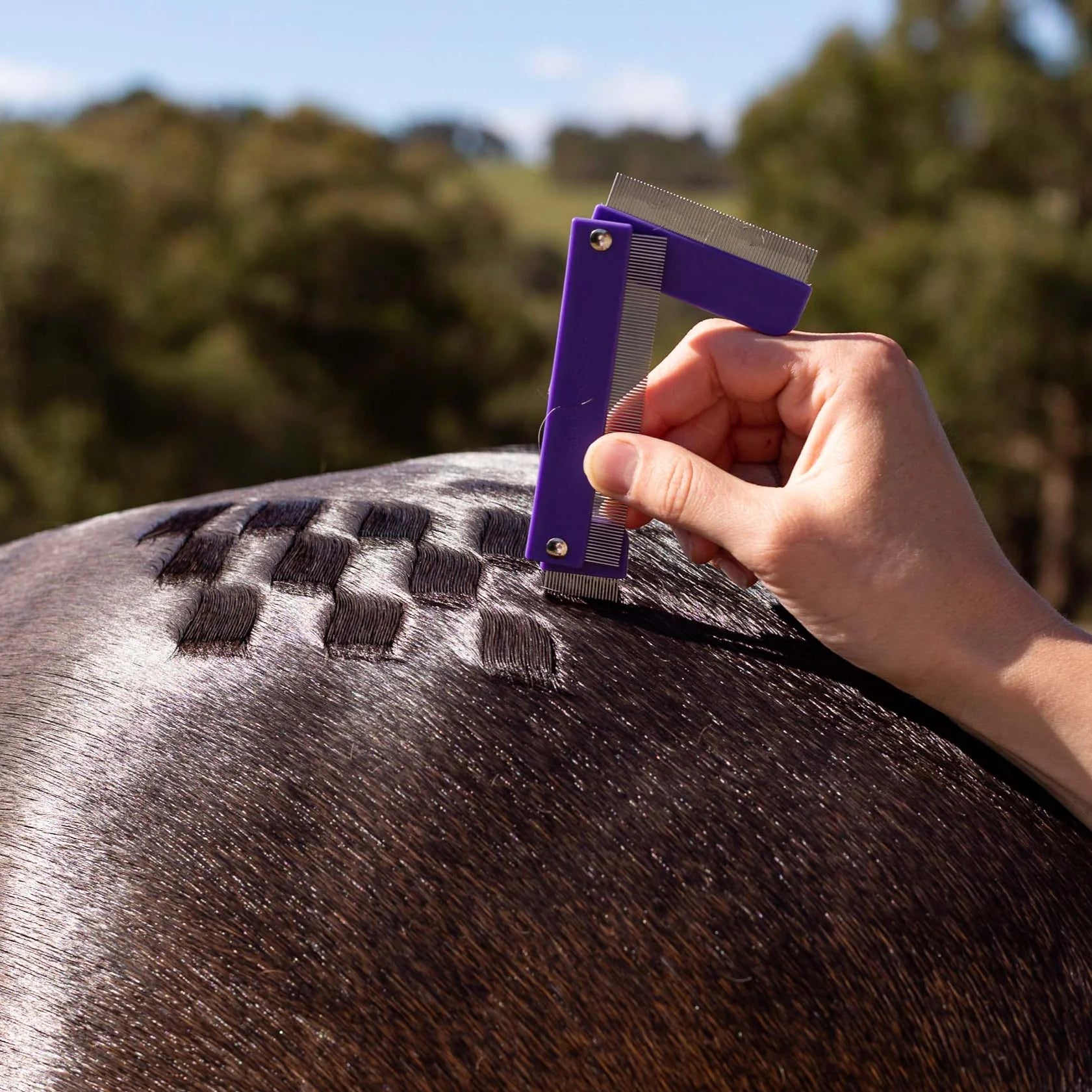 Hairy Pony Quarter Marking Comb - EQ Saddlery
