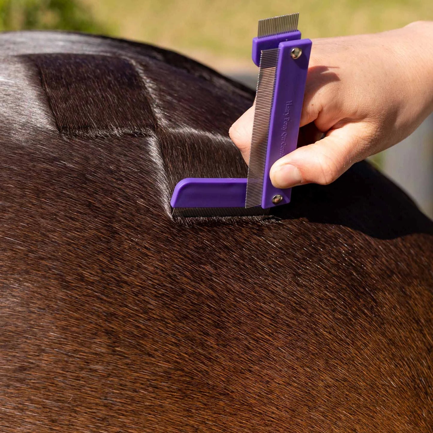 Hairy Pony Quarter Marking Comb - EQ Saddlery