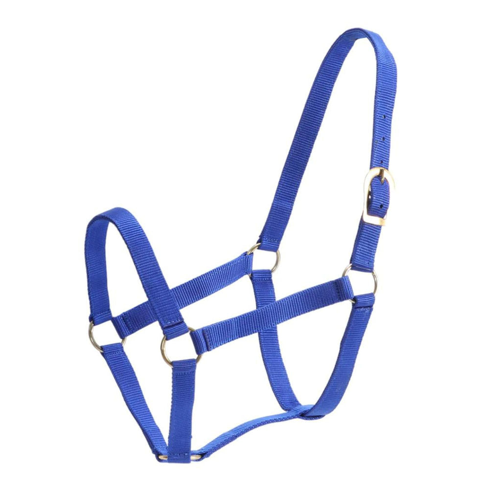 GG Australia Stable Halter