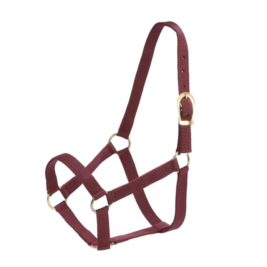 GG Australia Stable Halter