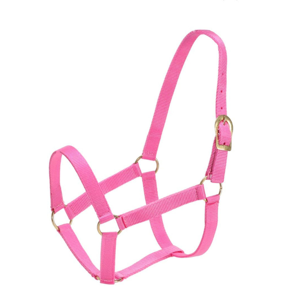 GG Australia Stable Halter