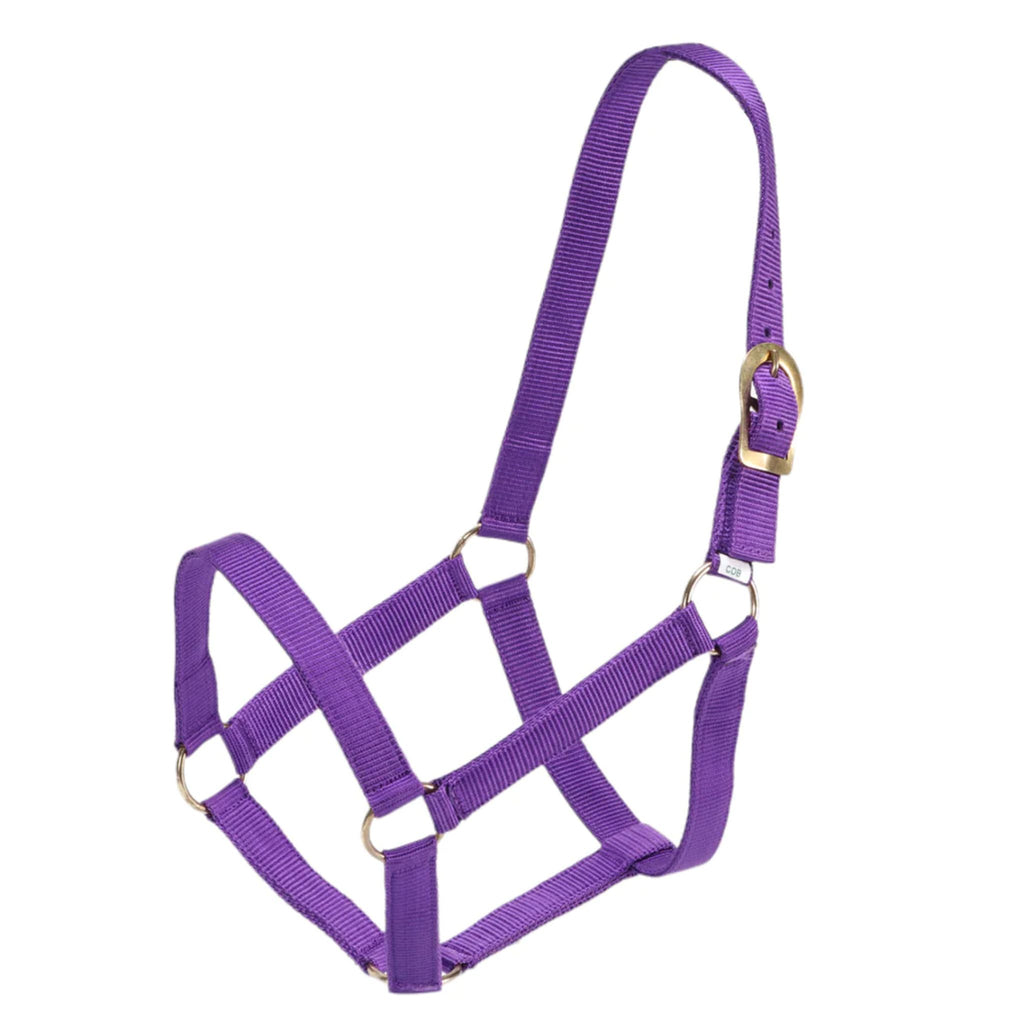 GG Australia Stable Halter