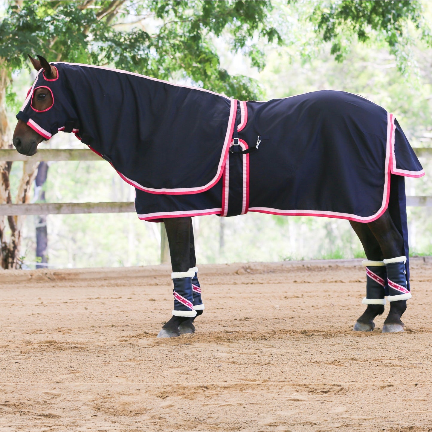 Gala Equine Show Rug Set