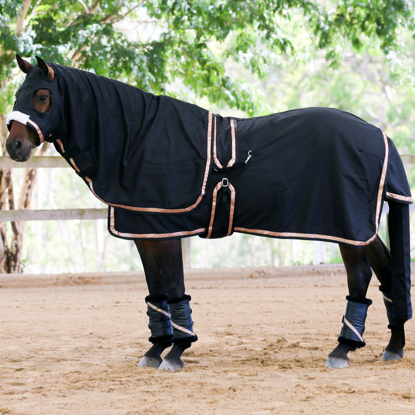 Buy Gala Equine Show Rug Set $83.99