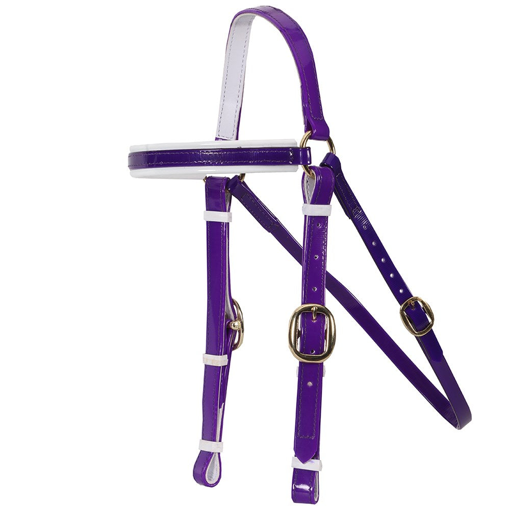 Horse Sense Barcoo Bridle