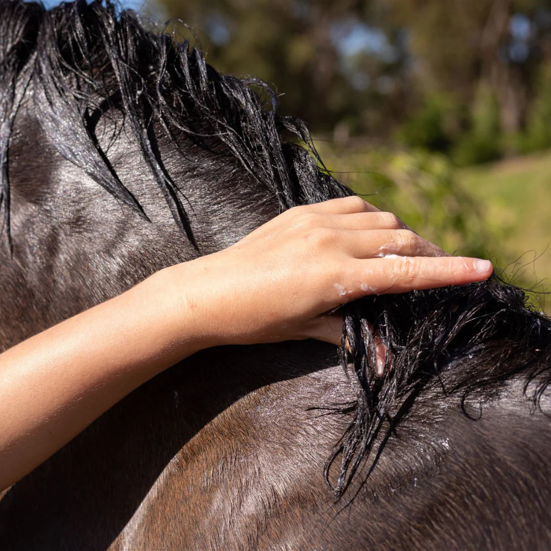 Hairy Pony Hair Repair Kakadu Plum