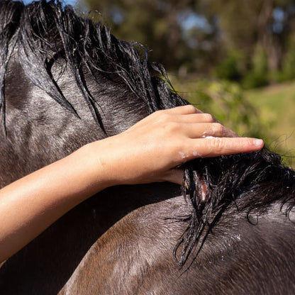 Hairy Pony Hair Repair Kakadu Plum