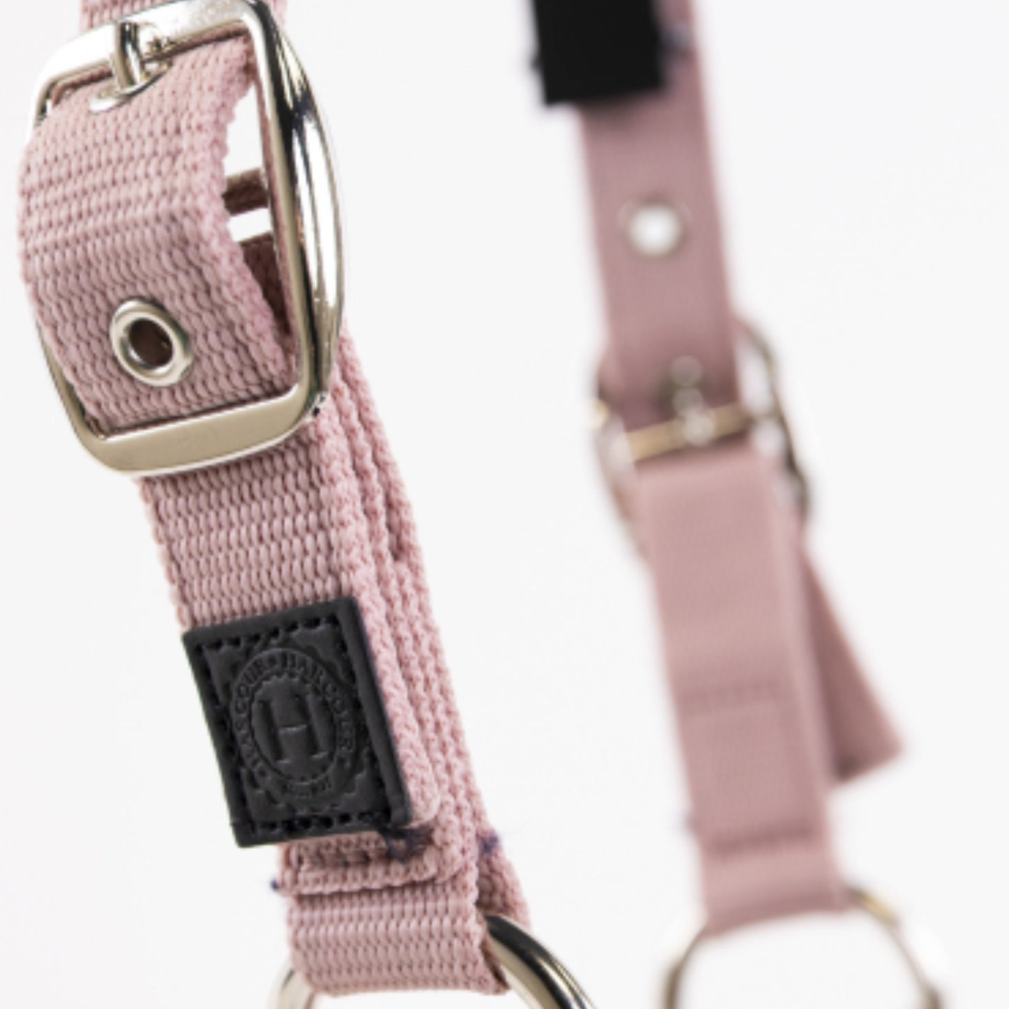 Harcour Amour Halter and Lead