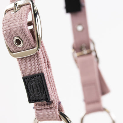 Harcour Amour Halter and Lead