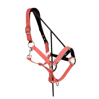 Harcour Bamara Halter and Lead