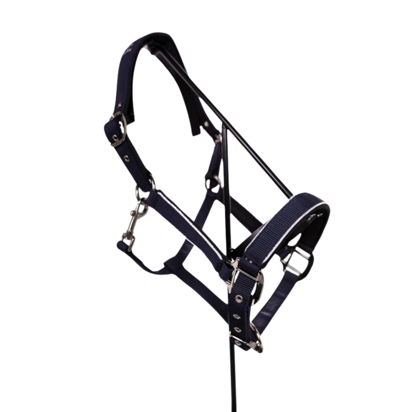 Harcour Bamara Halter and Lead