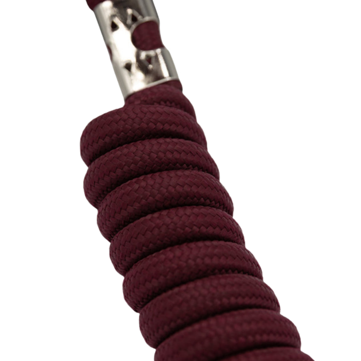 Harcour Cinsy Halter and Lunge