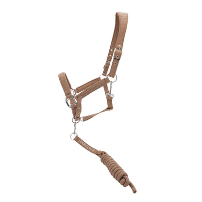 Harcour Cinsy Halter and Lunge
