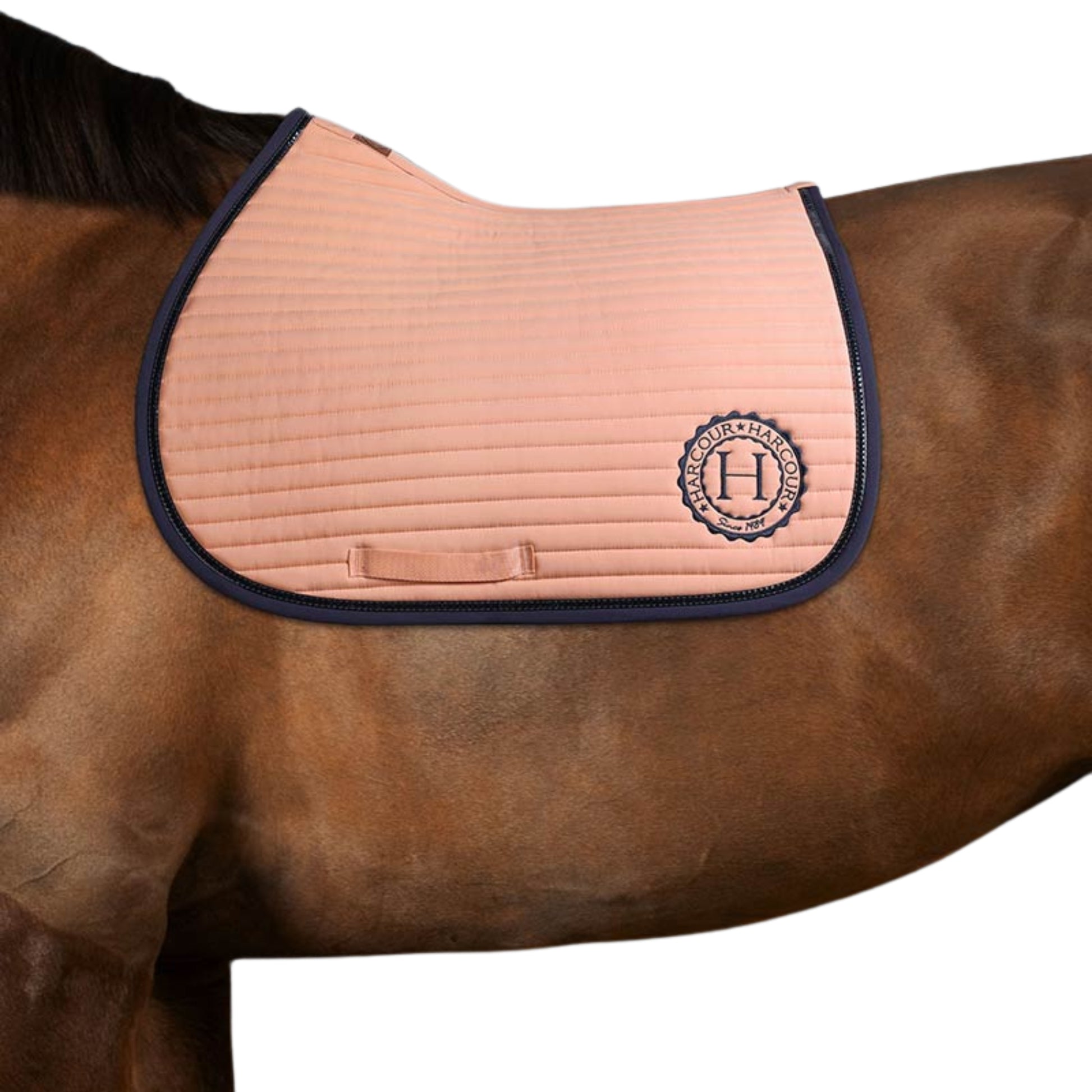 Harcour Karembar Jump Saddle Pad - EQ Saddlery