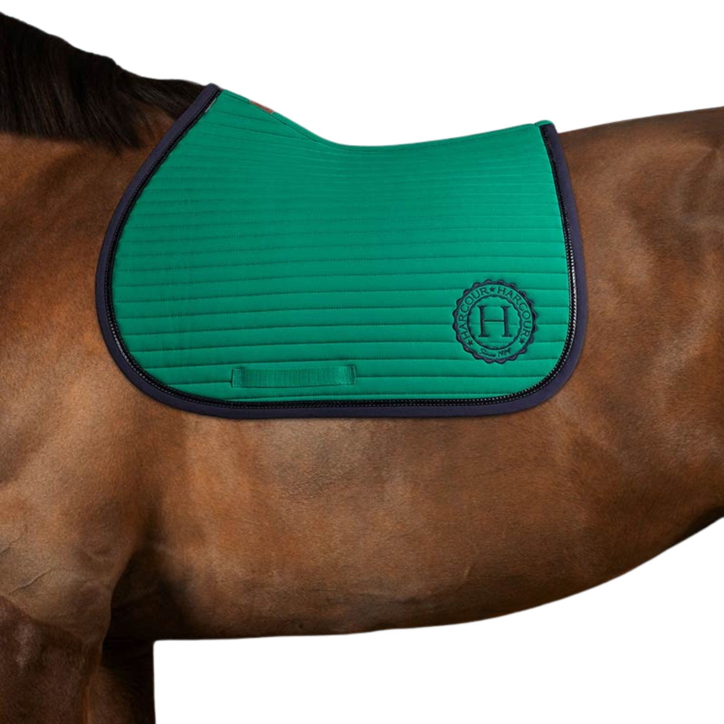 Harcour Karembar Jump Saddle Pad - EQ Saddlery