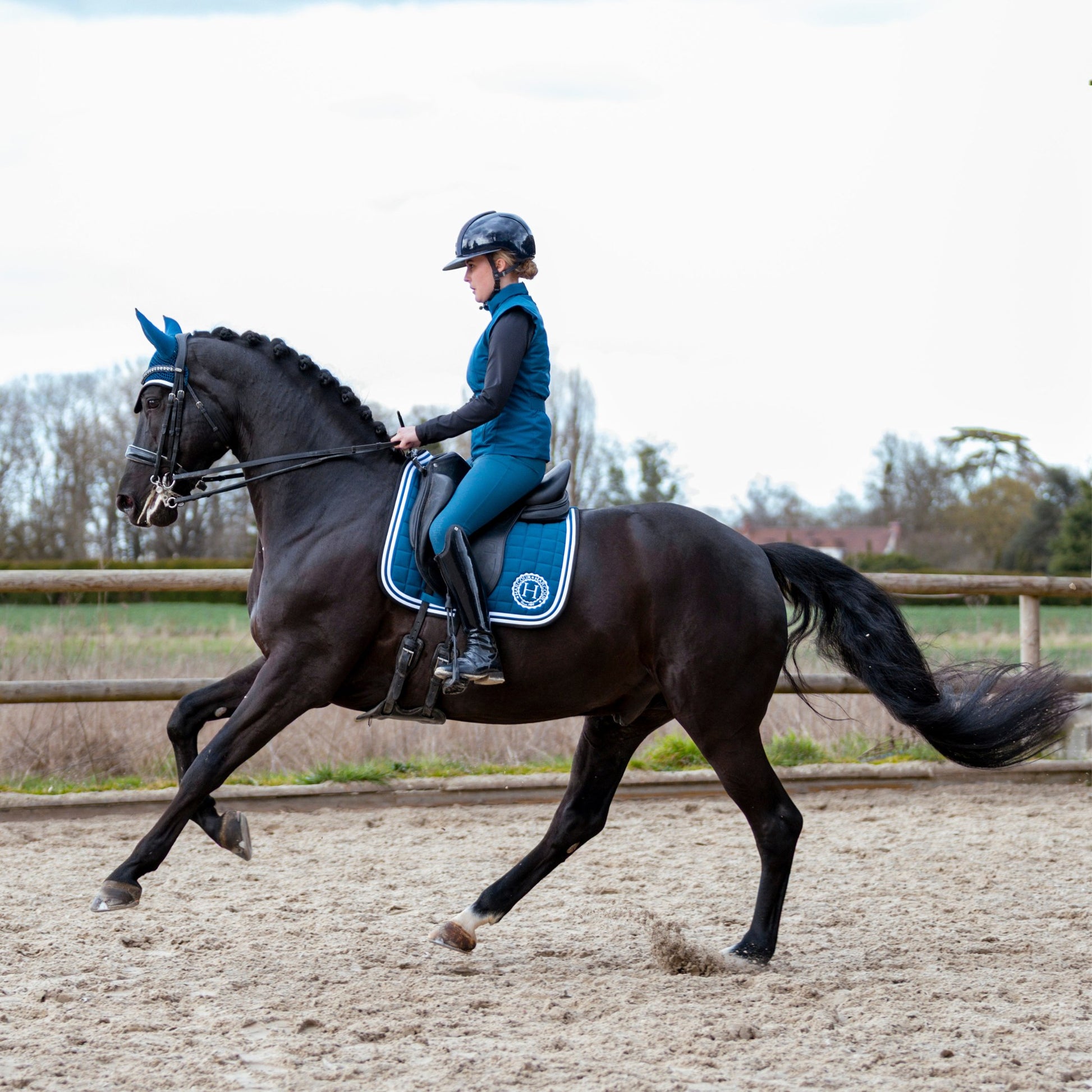 Harcour Fredy Flyveil - EQ Saddlery