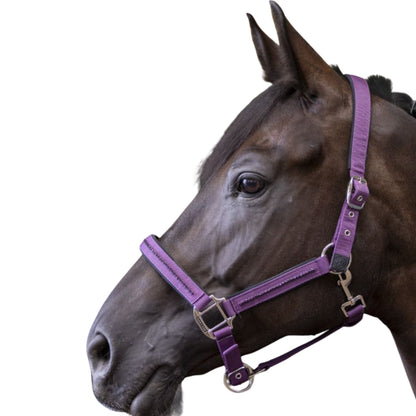 Harcour Amour Halter and Lead