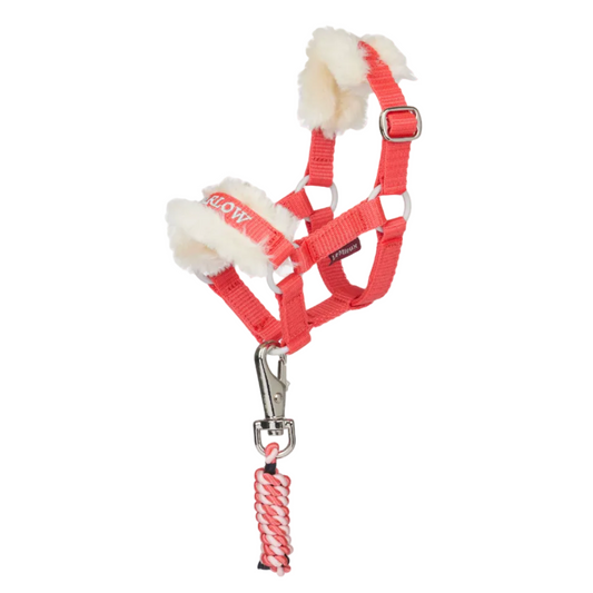 Harlow Toy Pony Headcollar & Leadrope Coral Crush