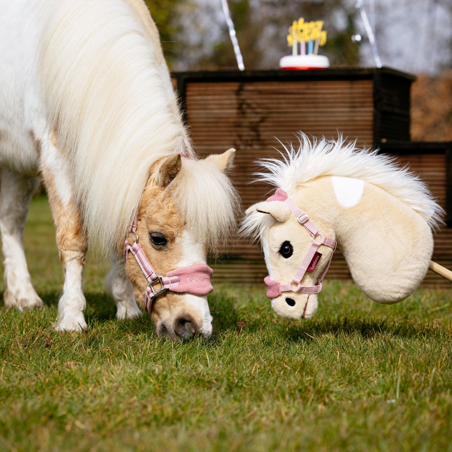 LeMieux Hobby Horse Lemon - EQ Saddlery