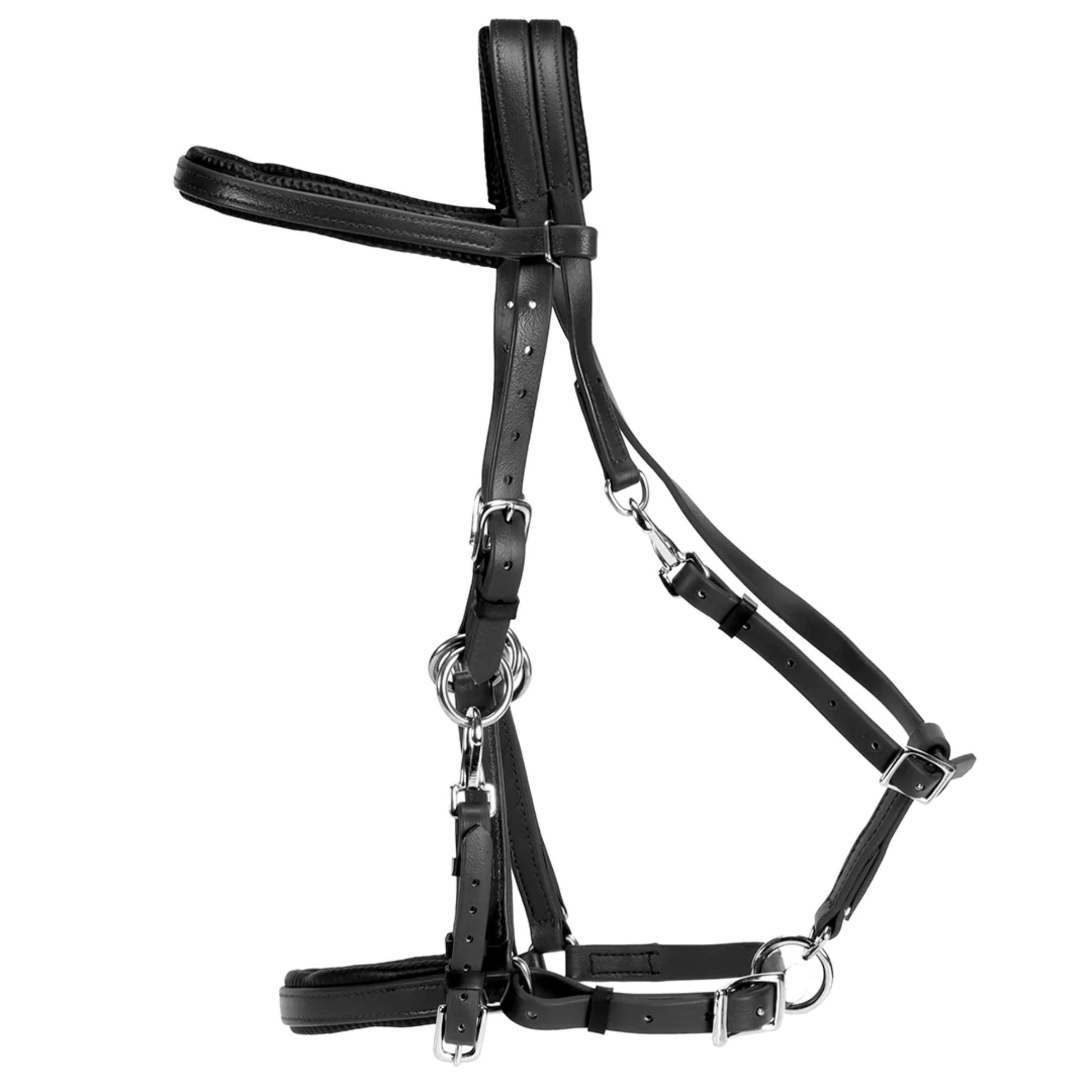 Horse Sense Endurance Bridle - EQ Saddlery