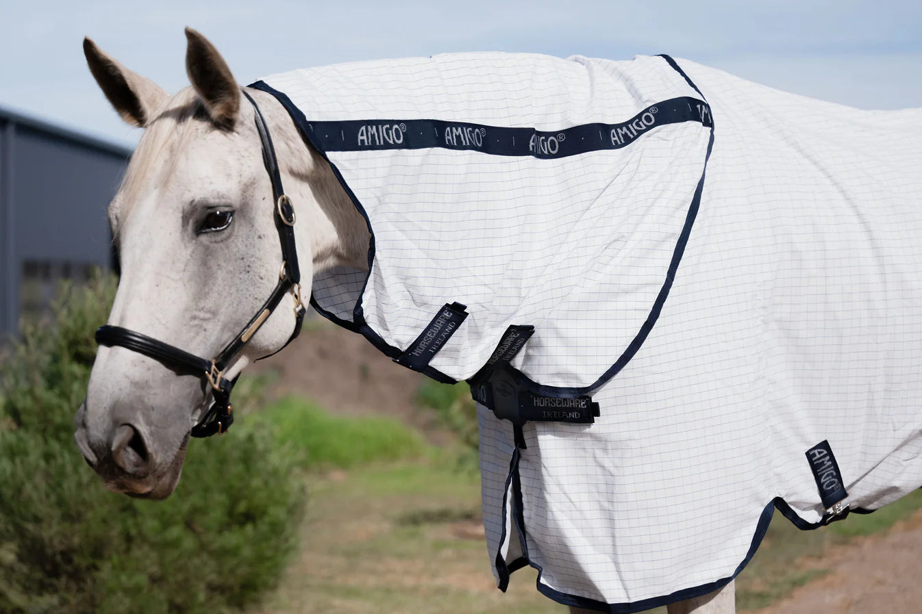 Horseware Amigo Helix Allrounder Disc Front Rug