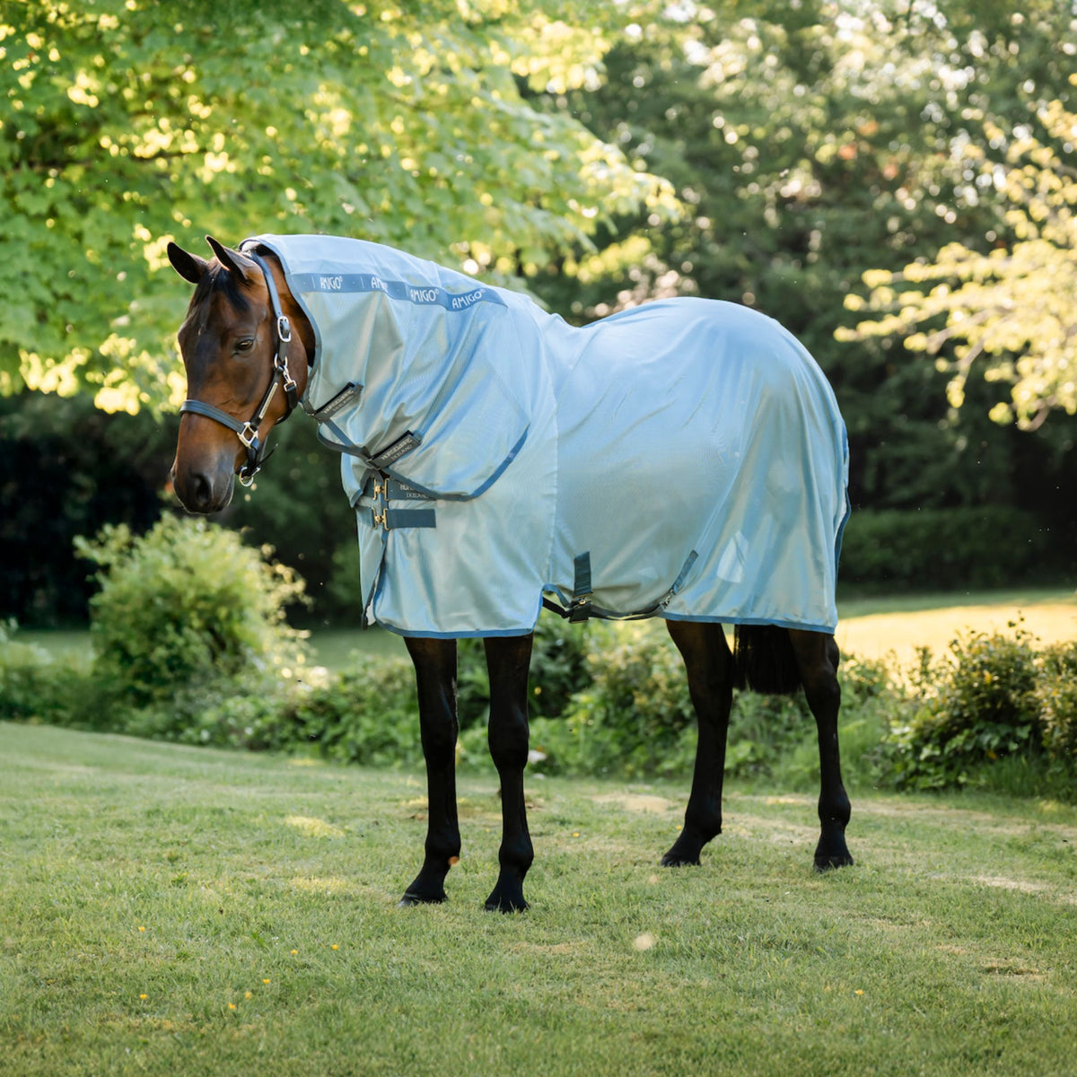 Horseware Amigo Integrated Fly Sheet Rug