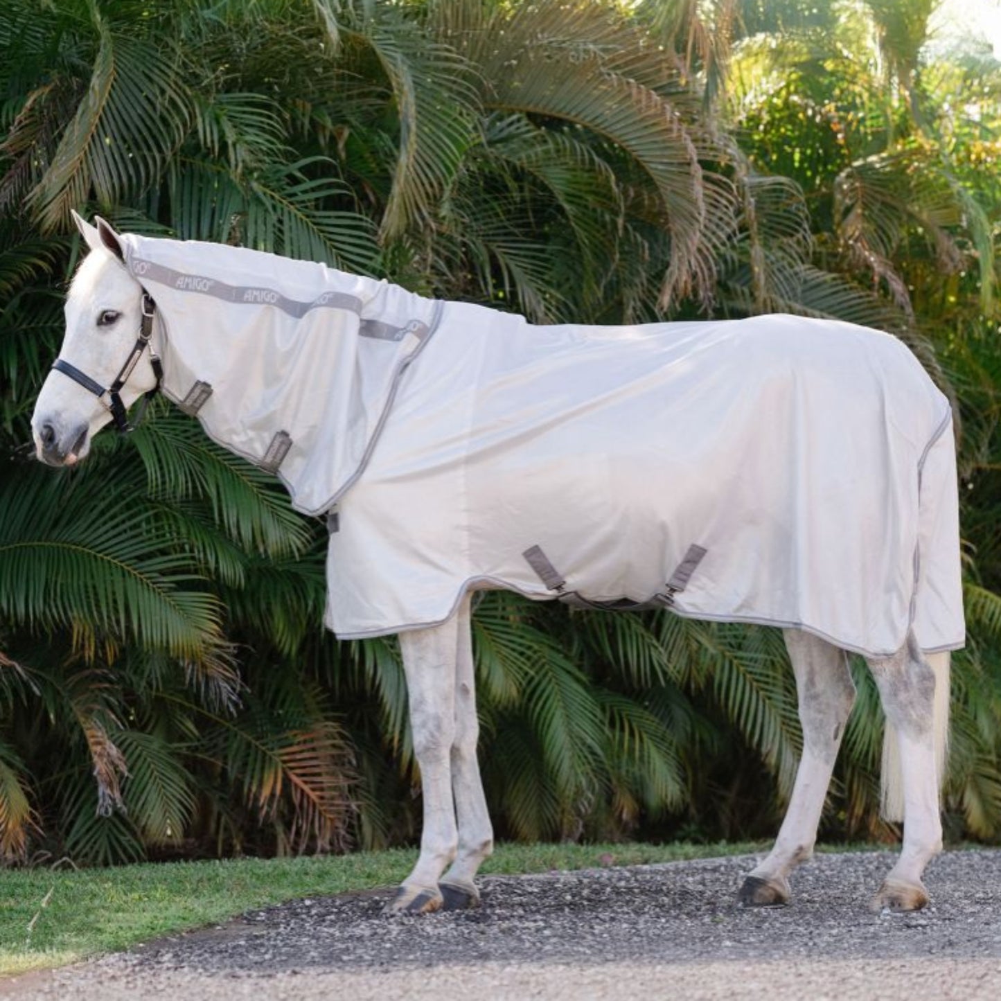 Horseware Amigo Integrated Fly Sheet Rug