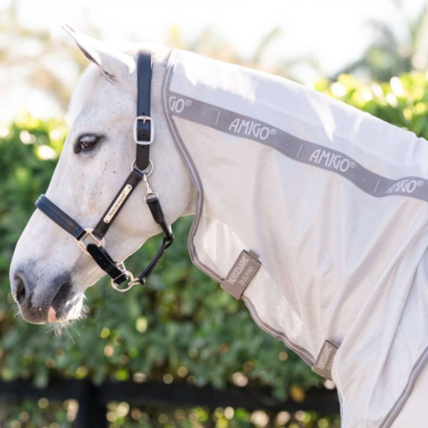Horseware Amigo Integrated Fly Sheet Rug