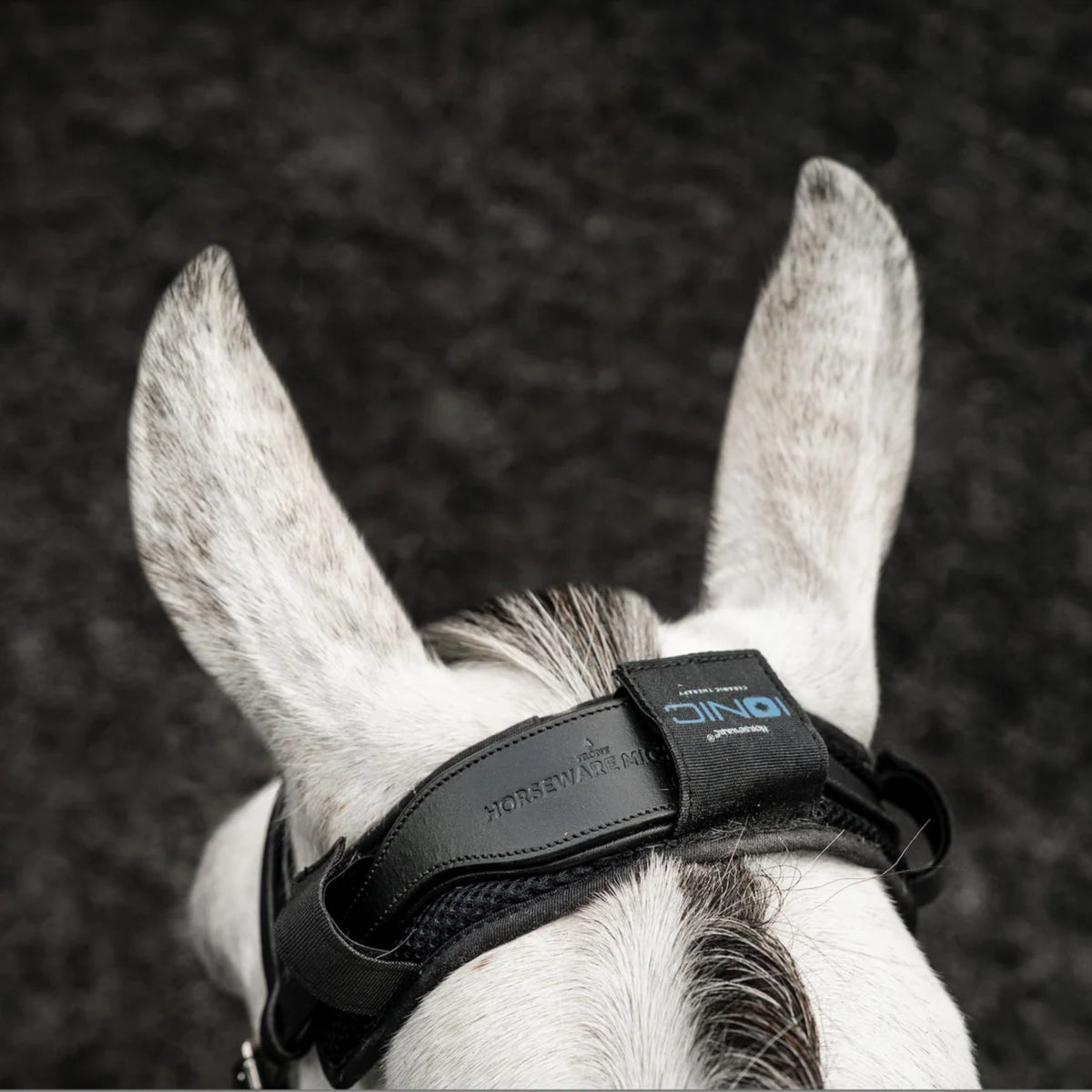 Horseware Ionic Poll Cover