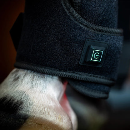 Horseware LED Red Light Therapy Leg Wrap