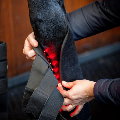 Horseware LED Red Light Therapy Leg Wrap