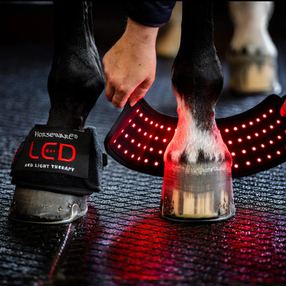 Horseware LED Red Light Therapy Mini Wrap (pastern Wrap)