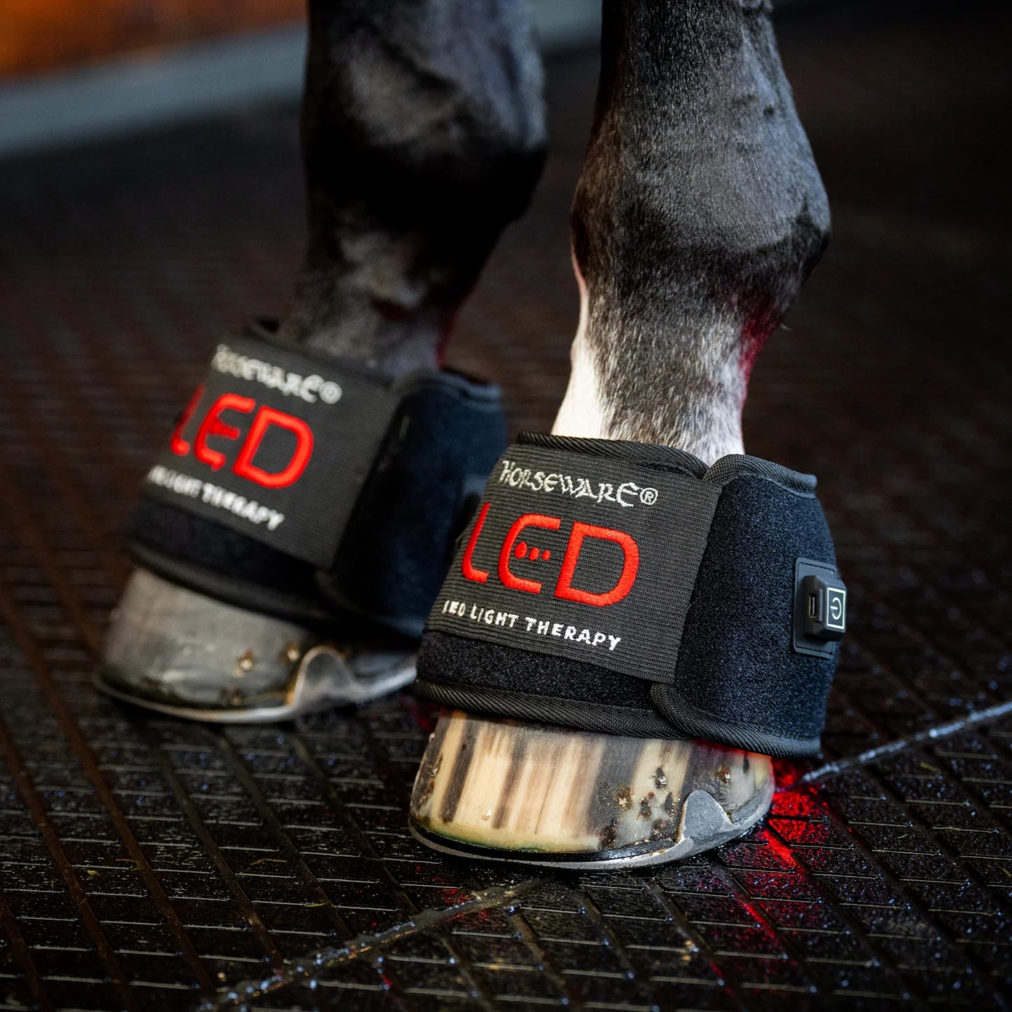 Horseware LED Red Light Therapy Mini Wrap (pastern Wrap)