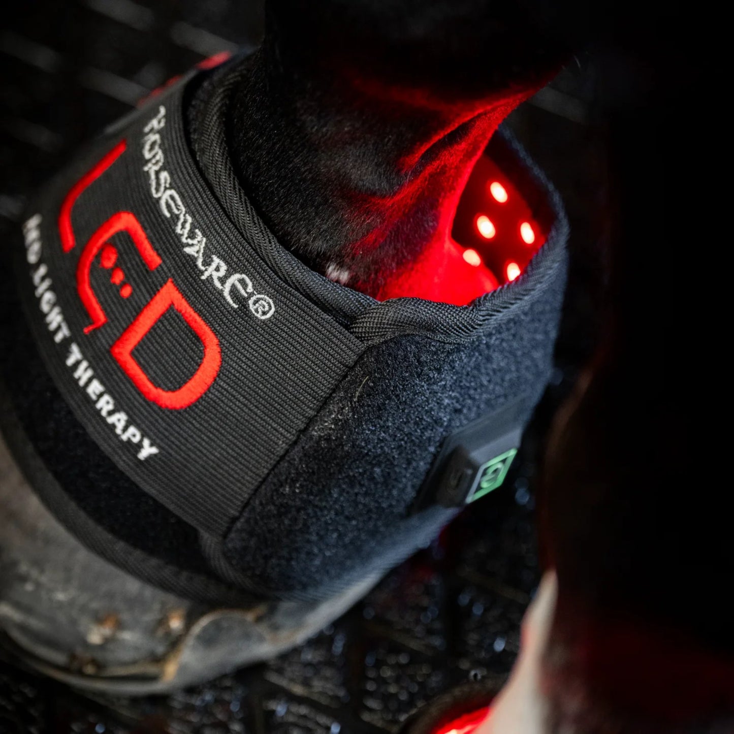 Horseware LED Red Light Therapy Mini Wrap (pastern Wrap)