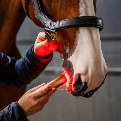 Horseware LED Red Light Therapy Wand