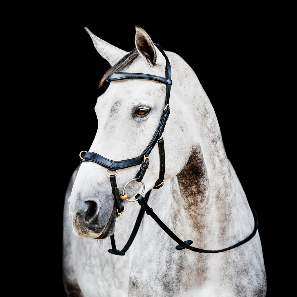 Horseware Micklem 2 Multi-Bridle