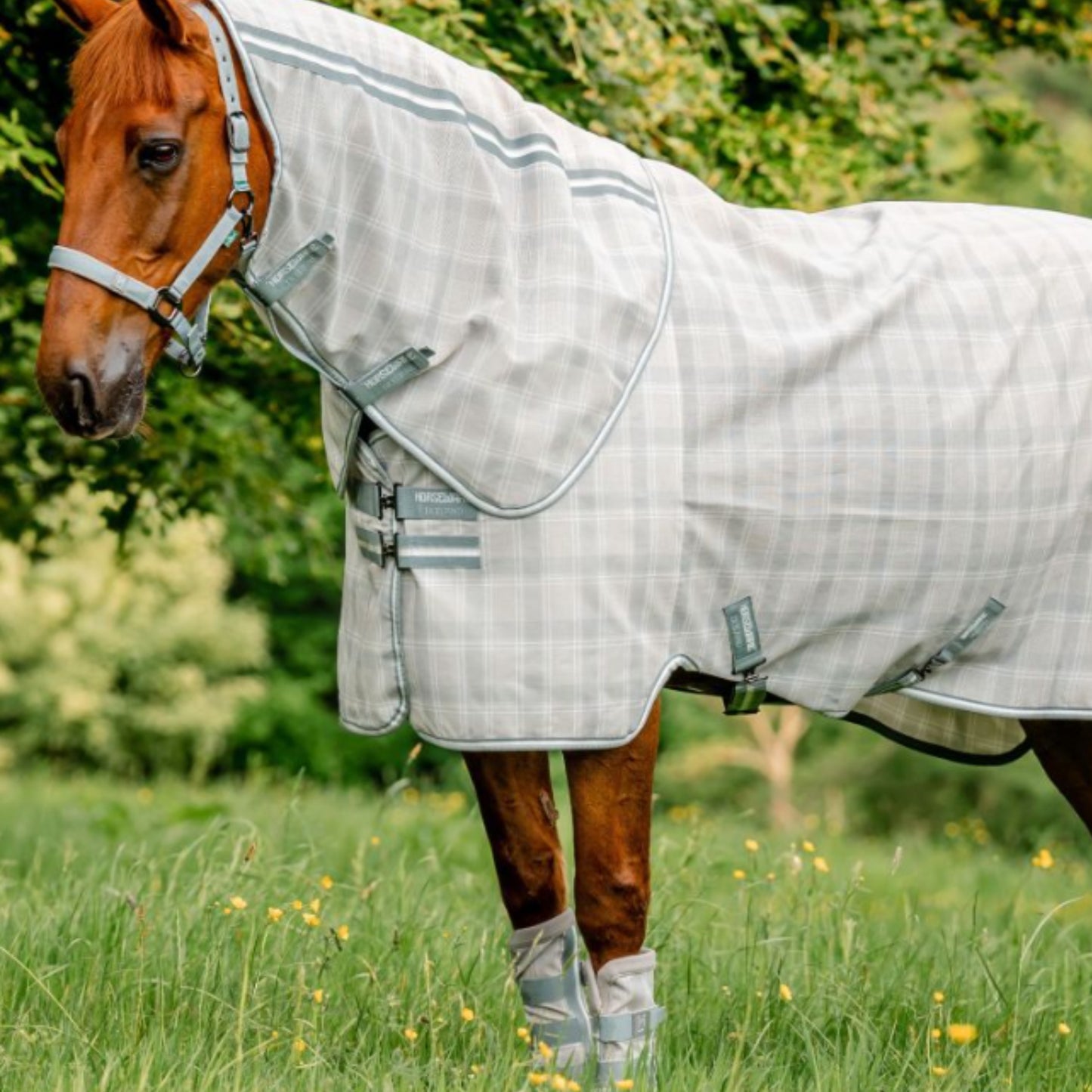 Horseware Newmarket Fly Boots Set of 2