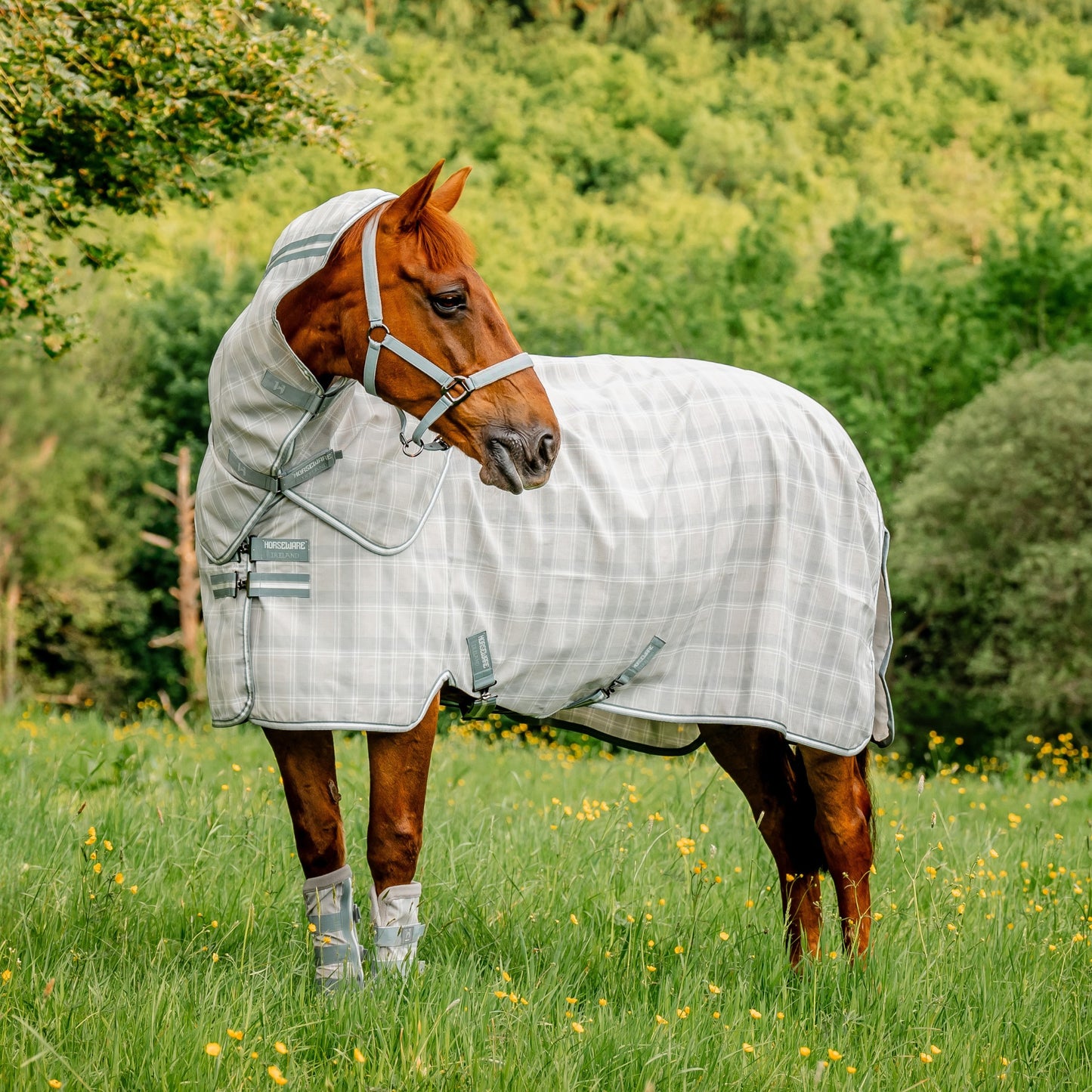 Horseware Newmarket Plus Fly Sheet Rug