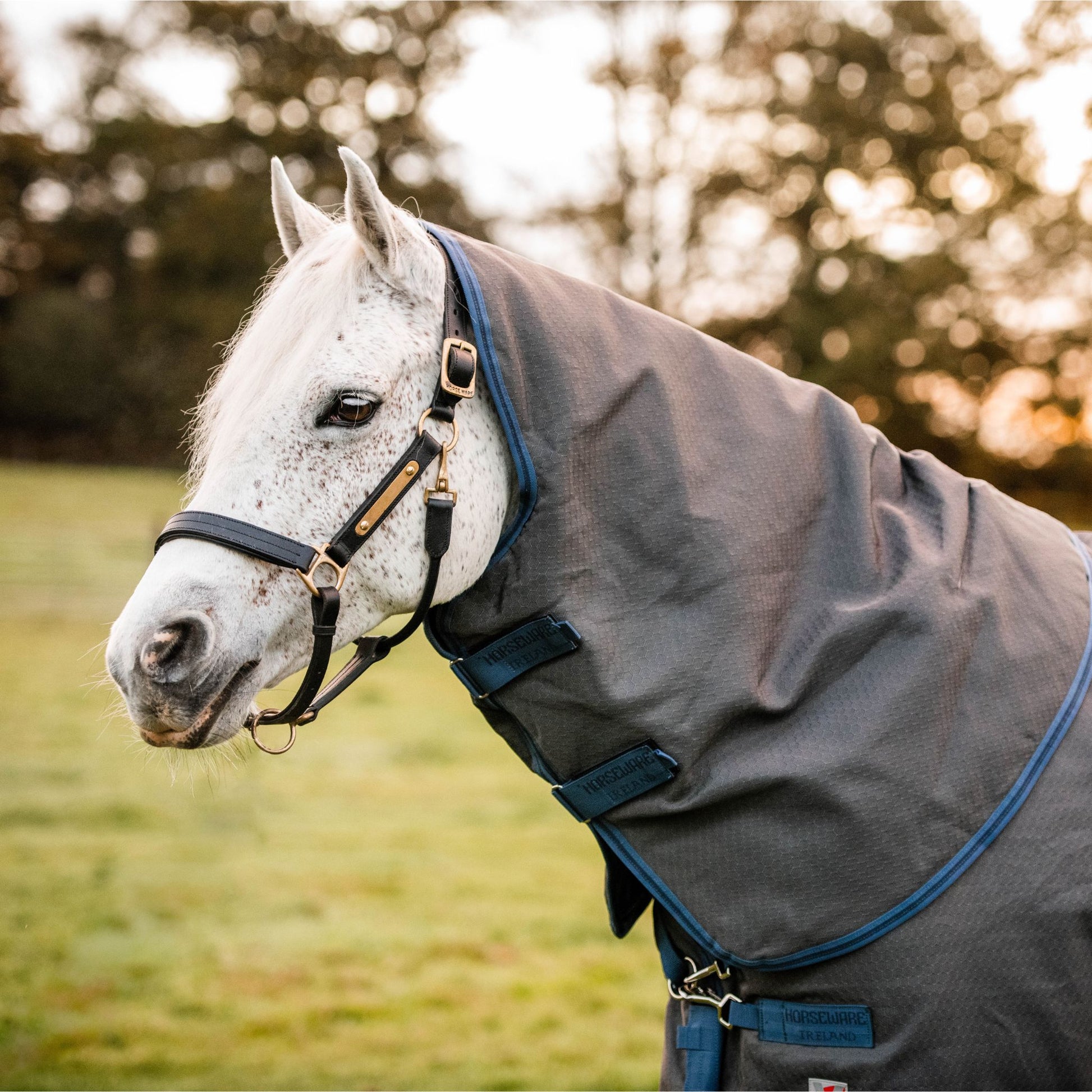 Horseware Rhino Plus HexStop 100g Rug - EQ Saddlery