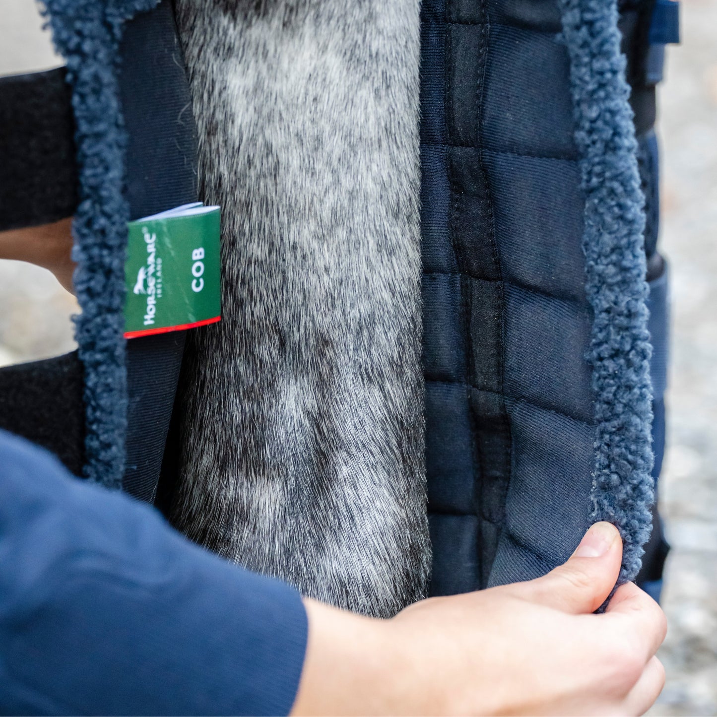 Horseware Show Ready Wraps