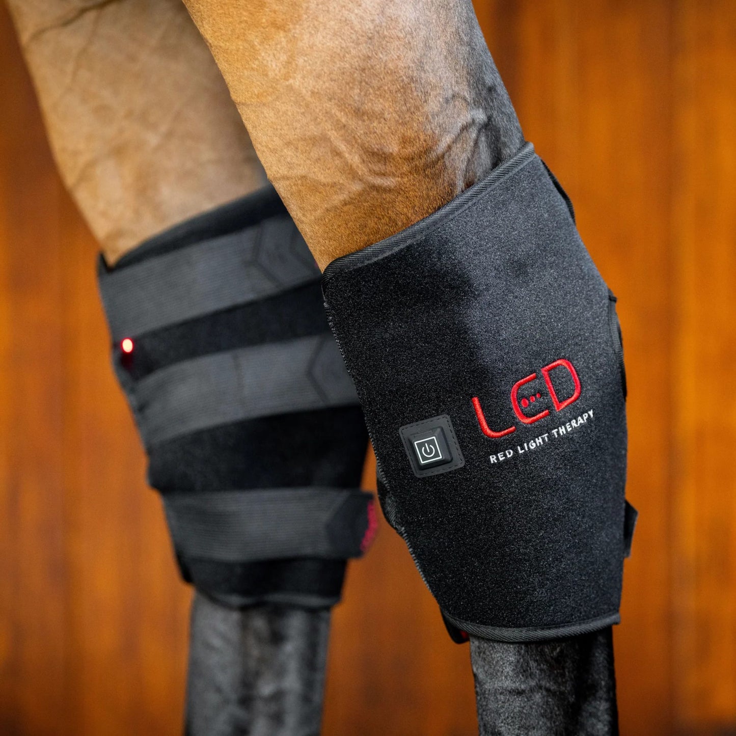 Horseware LED Red Light Therapy Hock Boot