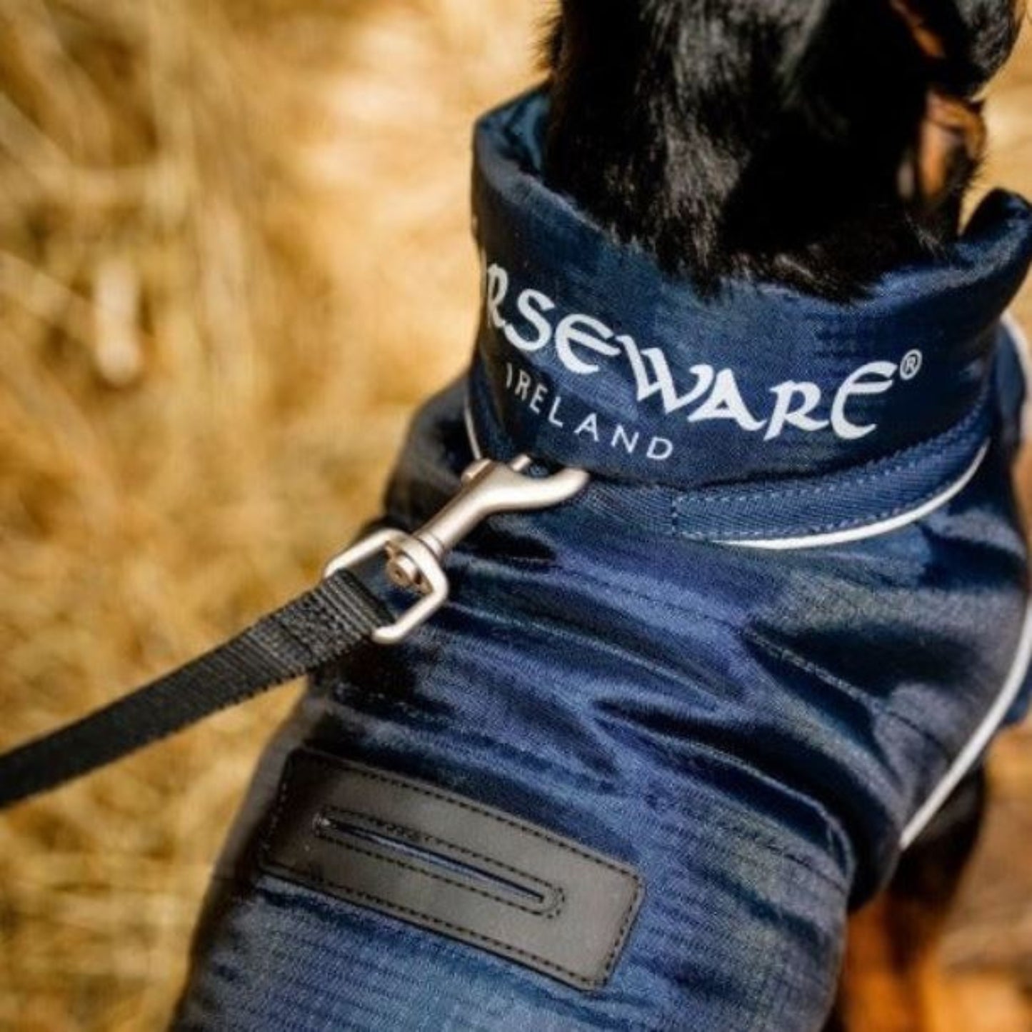 Horseware Signature Dog Rug